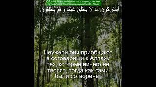 Коран Сура Аль Араф | 7:191 | Чтение Корана с русским переводом |Quran Translation #quranrecitation