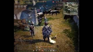 Black Desert Online Как скрафтить доспехи Таритас в Black Desert