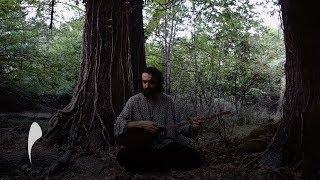 Pouriya Raisi - Huzûr