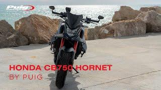 Honda Hornet 750 by Puig