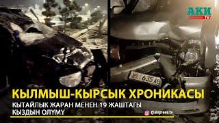 Кытайлык жаран менен 19 жаштагы кыздын өлүмү. Кылмыш-кырсык хроникасы