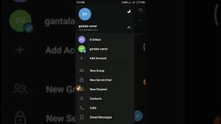 how to set TELEGRAM APP Last seen & online my contact