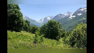 Горные луга Домбая