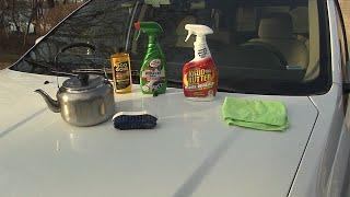 How to Get Rid of Tree Sap on Your Car