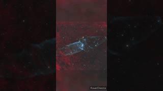Ou4: The Giant Squid Nebula #shorts #astronomy #checkdescription