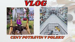 VLOG| CENY POTRAVIN V POLSKU| Hotel Mercure Szklarska Poreba