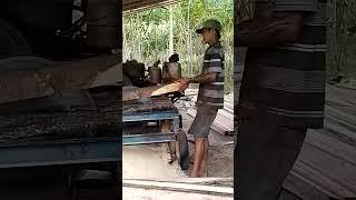 splitting local wood #wood #woodworking #woodskills