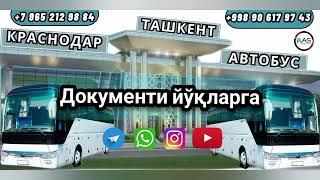 Krasnodar Tashkent avtobus - Toshkent Krasnodar avtobus. Краснодар Ташкент автобус Россия Узбекистан