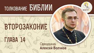 Книга Второзаконие, глава 14. Священник Алексей Волчков. Толкование Ветхого Завета Толкование Библии