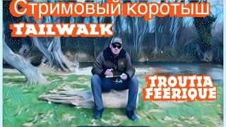 Tailwalk Troutia Feerique S50L max 7гр. Обзор спиннинга. Первые впечатления!