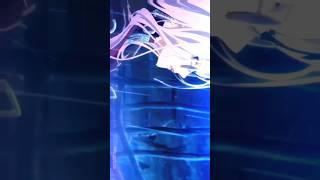 dungeon fighter edit/amv_[MC ROBA CENA Tuca Tuca]