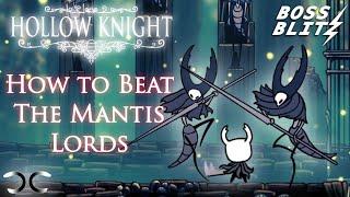 How to Beat The Mantis Lords | Hollow Knight | Boss Blitz