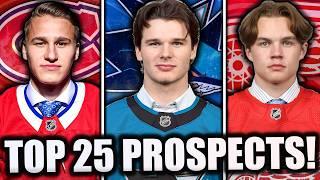 *RANKING* THE TOP 25 BEST NHL PROSPECTS! (2024)