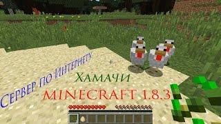 Как создать сервер Minecraft 1.8 - 1.20+