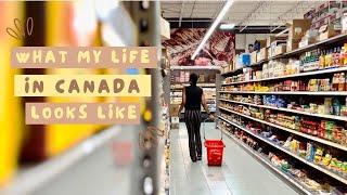 Life In Canada Vlog: Daily Routines | A Regular Week In My Life.