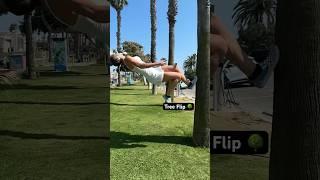 Would you try to flip off a tree?