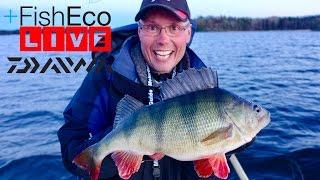 LIVEfishing with Kristian Keskitalo Team Daiwa!