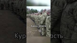 ПРИБЫЛИ В КУРСК. КУРСКАЯ ОБЛАСТЬ. СУДЖА