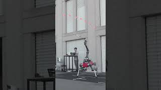 This Swiss robot can be player 2
