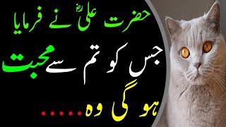 Hazrat Ali (R.A) kay Aqwal | Ajj Ki Ache Baatain | Adab mini