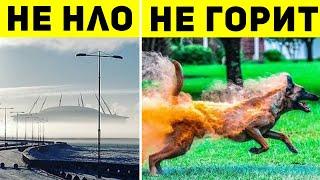 Взгляните на эти фото дважды, чтобы понять, что на них происходит