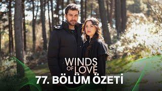 Rüzgarlı Tepe 77. Bölüm Özeti | Winds of Love Episode 77 Recap (Eng Sub)