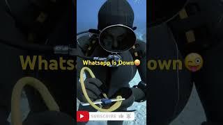 Whatsapp Is Down #scubadiving #underwater #diving #scuba #rubberwoman #gopro #adventure