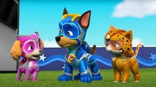 PAW Patrol - Cat Pack: Rocket Rescuers | Season 9 Compilation | WildBrain Zoo | Cartoons of Kids