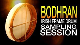 Bodhran! Irish Frame Drum Sampling Session