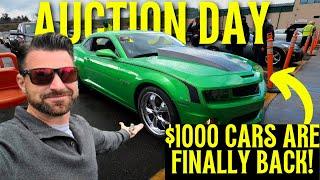 Can we buy a Clean Drive-able car for $1000 at a Dealer Auction ? - Flying Wheels