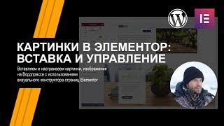 Wordpress | Вставляем и настраиваем картинки, изображения в Elementor