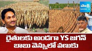 YS Jagan Supports to Tobacco Farmers | Chandrababu Govt Negligence | @sakshitv