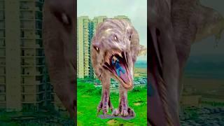 OMGshooting in reality |