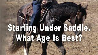 Horse Training - What Age To Start A Horse Under Saddle?