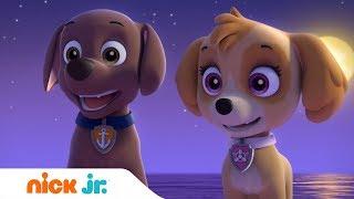 Щенячий патруль | Щенки спасают рыбопса ‍️ | Nick Jr. Россия