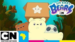 Seaweed forest | We Baby Bears | Cartoon Network Africa