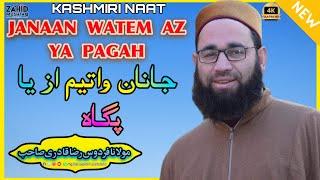 Heart Touching Naat_Janaan Watem Az Ya Pagah_By Molana Firdous Raza Qadri Sahab At Drubgam Pulwama