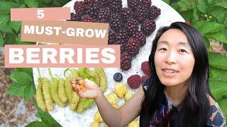 5 Must-grow berries for backyards - Delicious, unusual and productive varieties / Tips & tricks