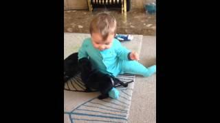 cute Baby laughing at pug puppies