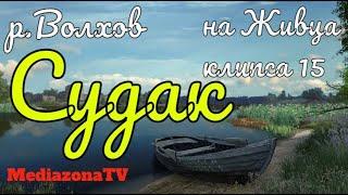 Русская Рыбалка 4 Где Клюет  р Волхов Судак на Живца 12 02 23