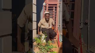 Iko Iko dance #funny #comedy #joy #fypyoutube #funnyvideo