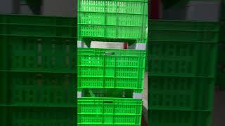 Sebze meyve kasası #plastikkasa #plasticcrate www.hipas.com.tr