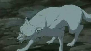My Wolf Eats Preps - Wolf's Rain