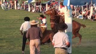 Broche de oro en Campo Nano Kaiser Septiembre 2023 en Alcaraz (Entre Rios)