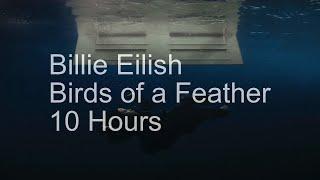 【10 Hours】Billie Eilish - Birds of a Feather