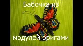 Бабочка из модулей оригами