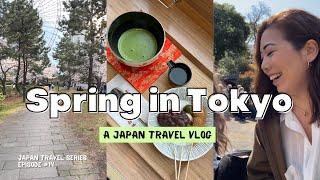 Cherry blossoms in Tokyo & a must-see garden in Yokohama!  Spring Japan Travel Vlog