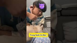  Tiểu Bạch Mơ ăn lẩu dê, ai dè bị úp nồi ! #emthocreview #shorts #trend #viral #hàihước #giảitrí