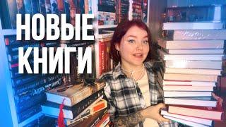 НАКУПИЛА ГОРУ ПОПУЛЯРНЫХ КНИГ