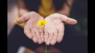 The Expanding Future of Spirituality in Mental Healthcare